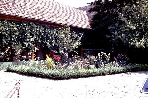 Bild 10 - Blumengarten in der “X“, der Ecke zwischen dem Vorder- und dem Hinterhaus (2005).