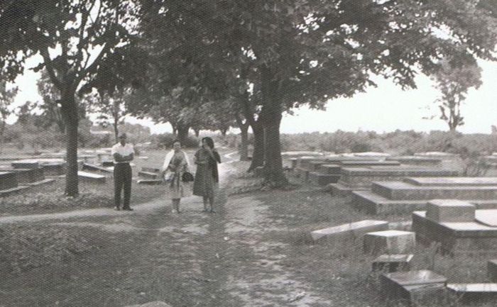 Ansicht vom Jareker Friedhof (1966) (Quelle: Professor Anton Scherer)